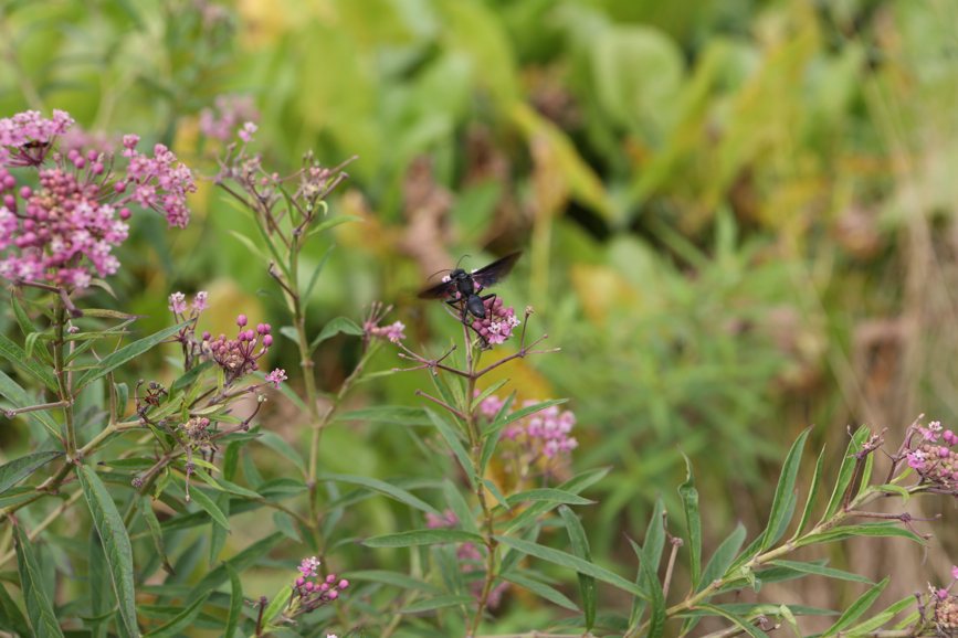 Full Size Image = 3414 K