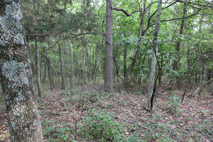 Full Size Image = 8550 K