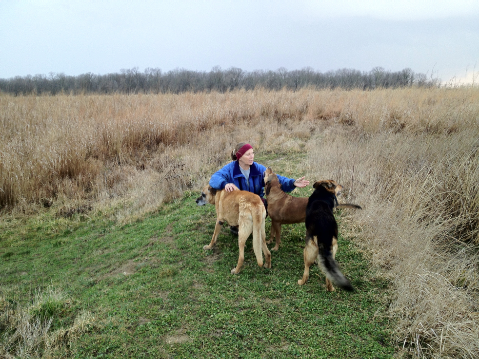 Full Size Image = 7767 K