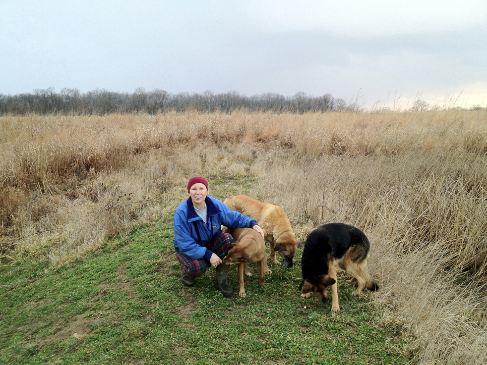 Full Size Image = 8084 K