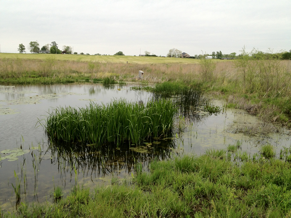 Full Size Image = 7278 K