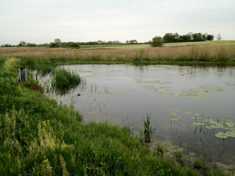 Full Size Image = 6784 K