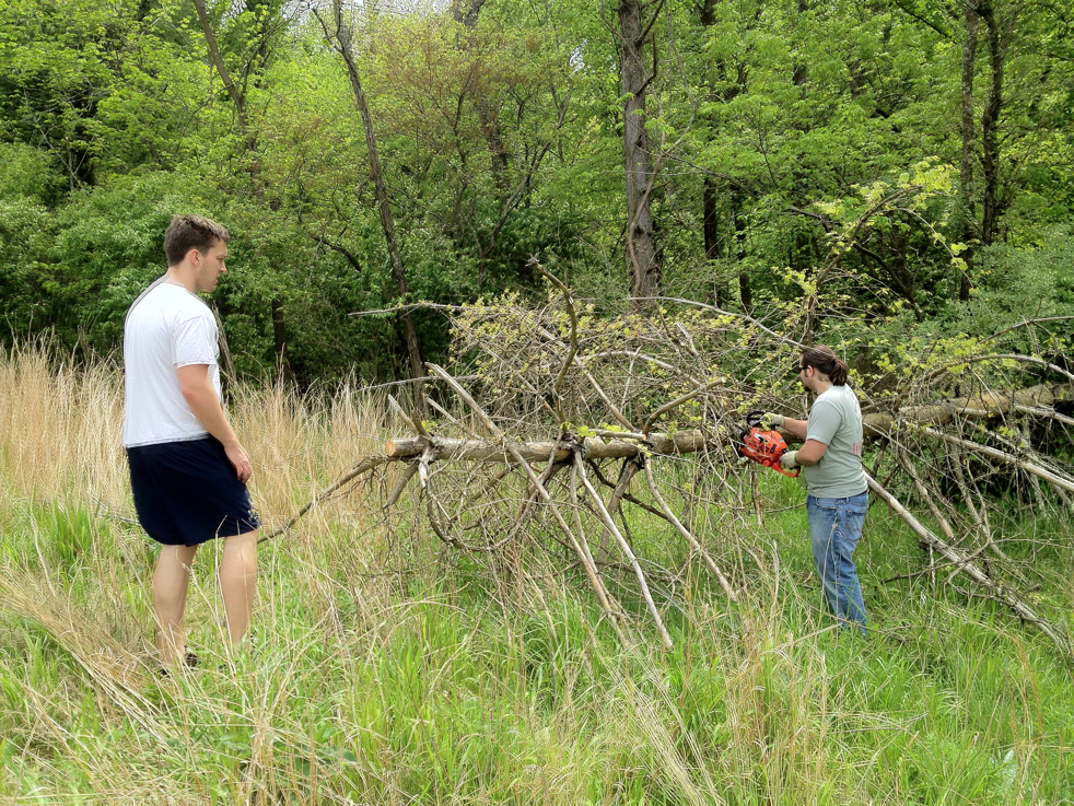 Full Size Image = 11315 K