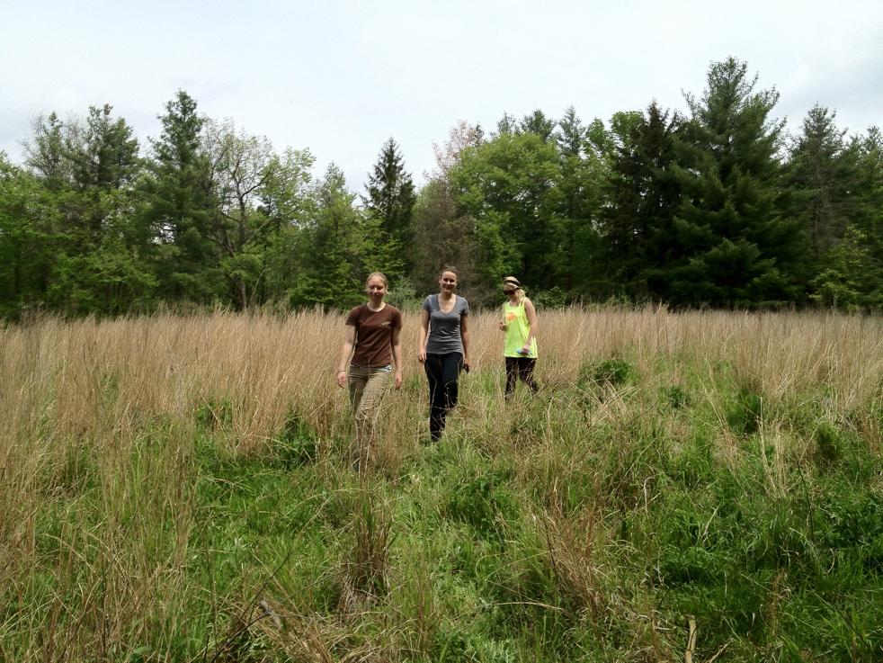 Full Size Image = 8589 K