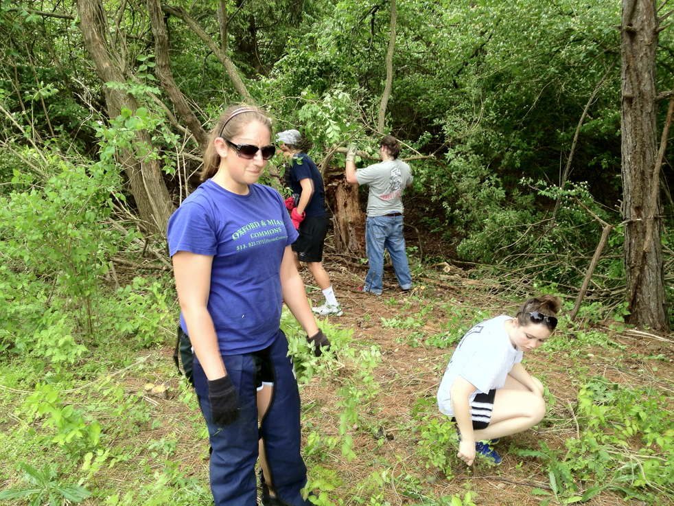 Full Size Image = 9944 K