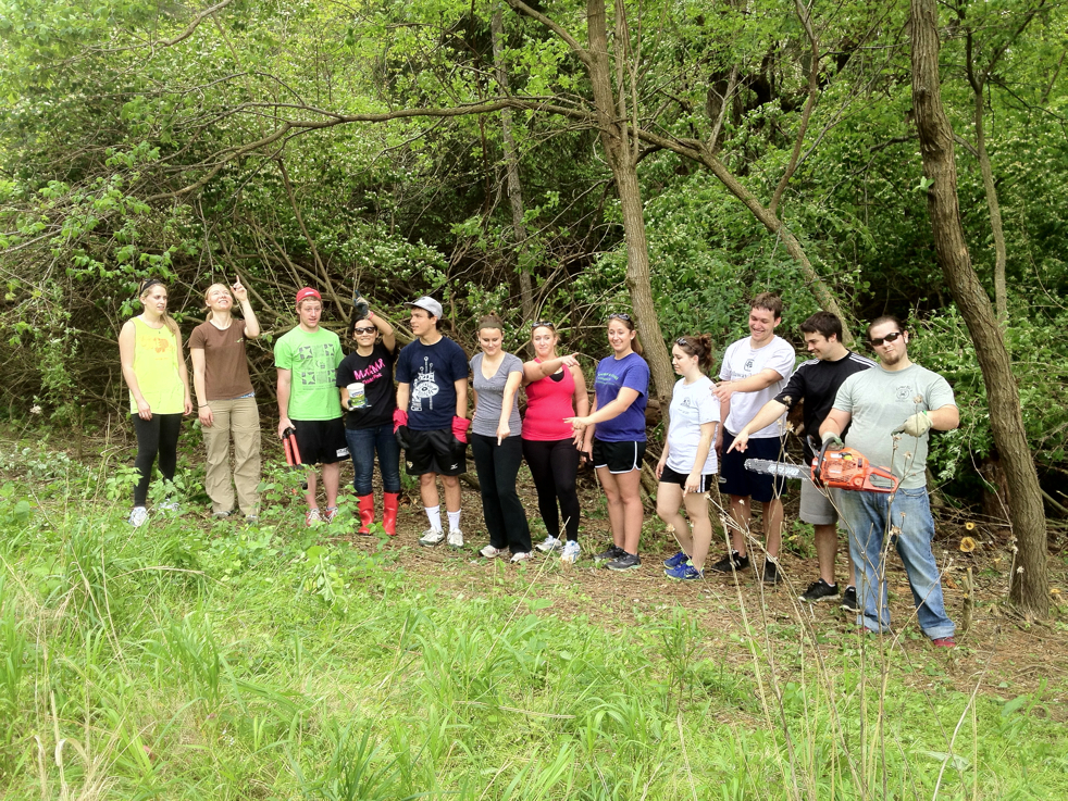 Full Size Image = 9961 K