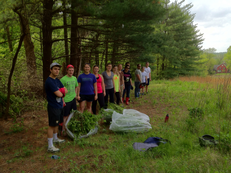 Full Size Image = 7875 K