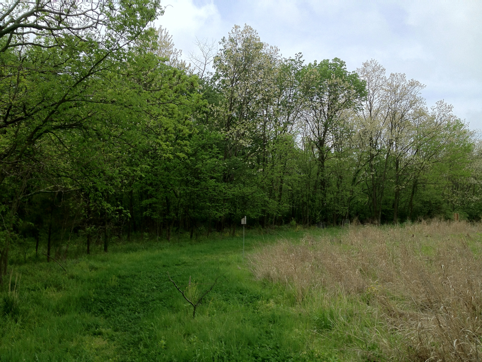 Full Size Image = 8665 K