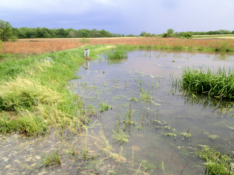 Full Size Image = 7335 K