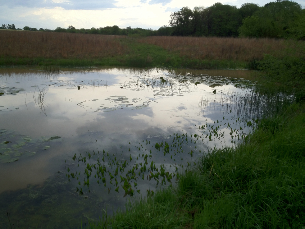 Full Size Image = 4469 K