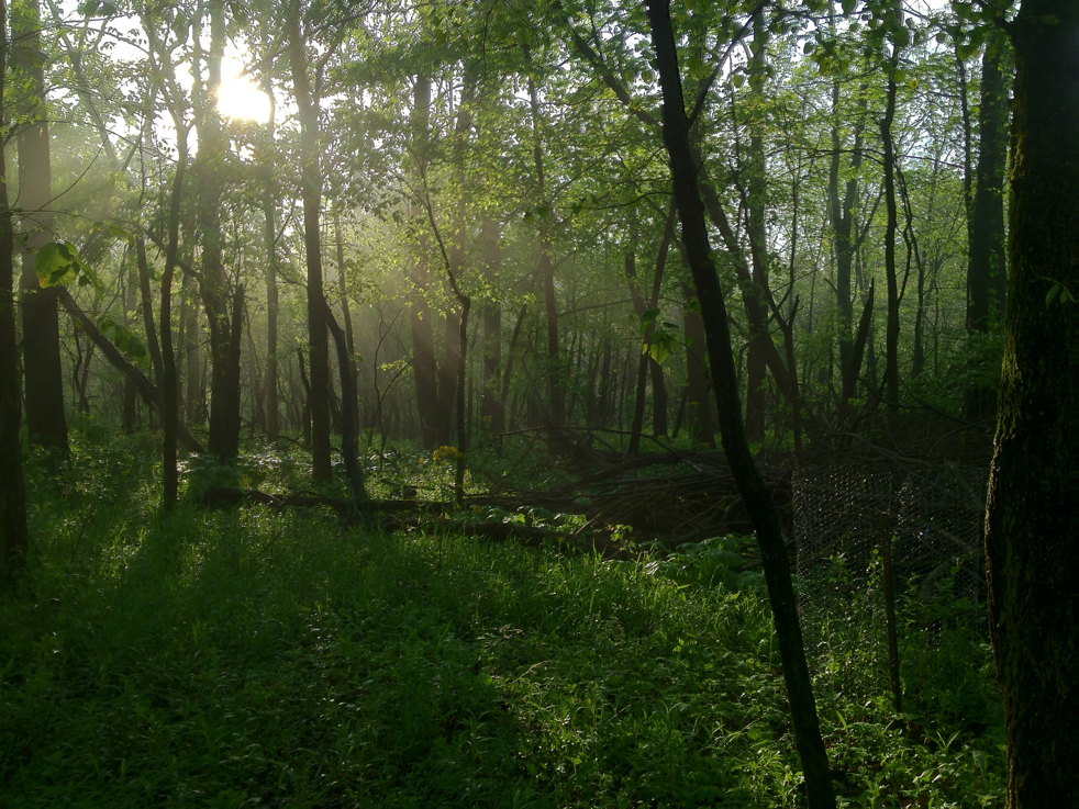 Full Size Image = 7151 K