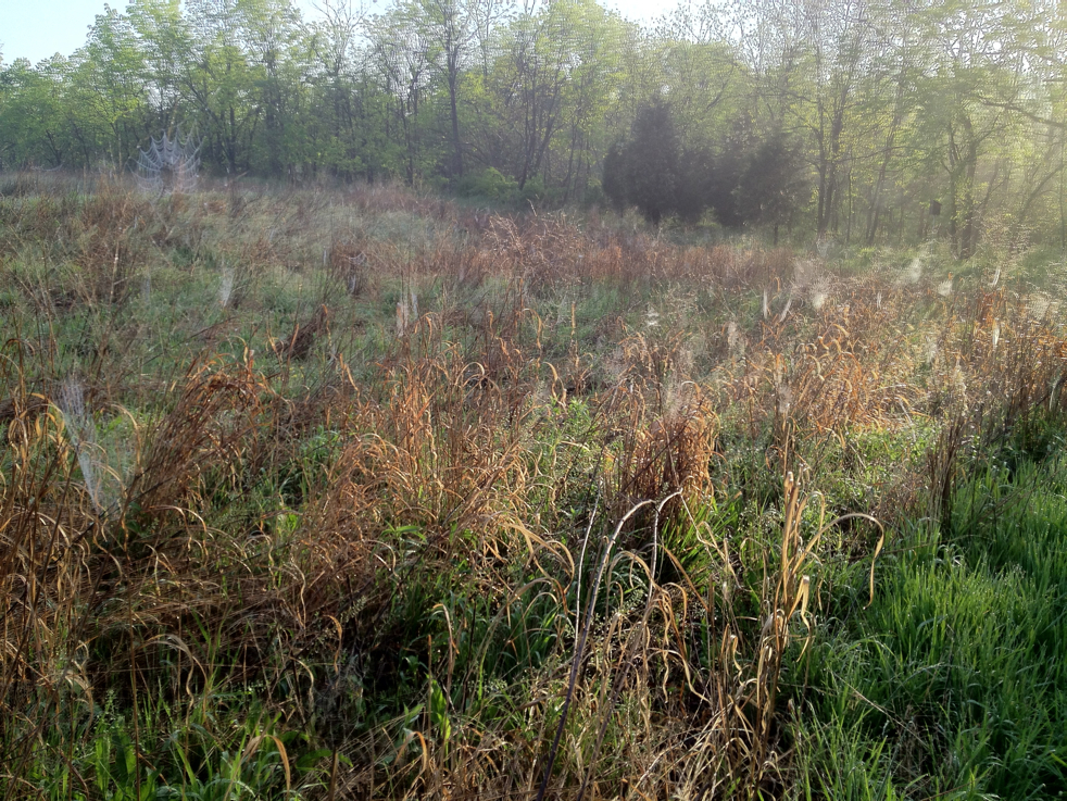 Full Size Image = 8953 K