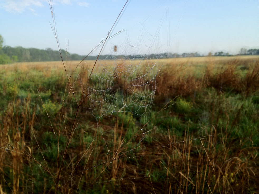 Full Size Image = 5496 K