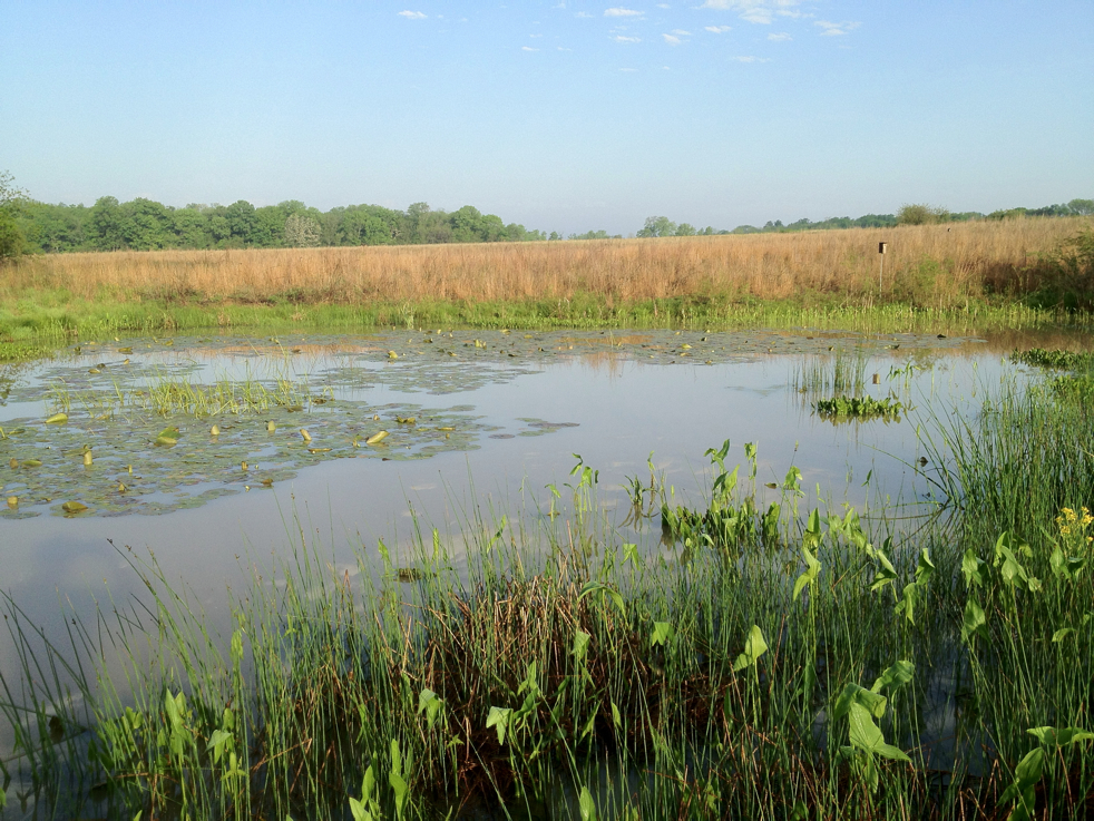 Full Size Image = 7373 K