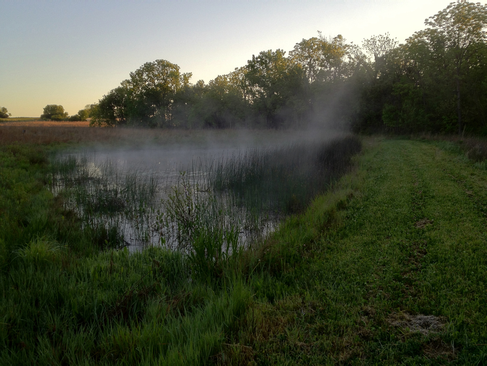 Full Size Image = 6265 K