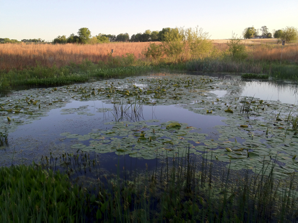 Full Size Image = 6308 K