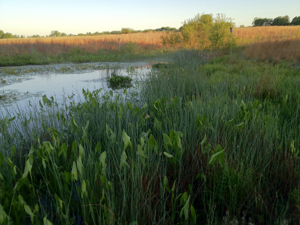 Full Size Image = 6258 K