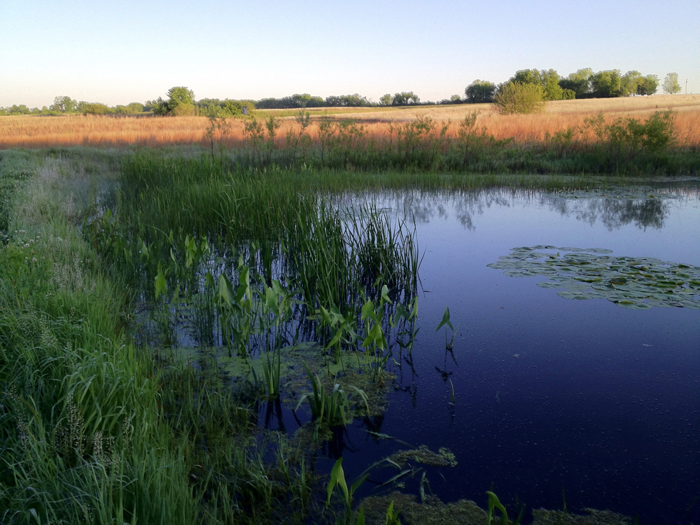 Full Size Image = 6318 K