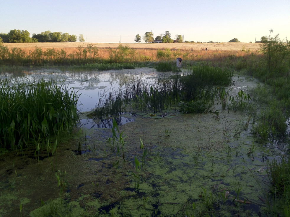 Full Size Image = 6117 K