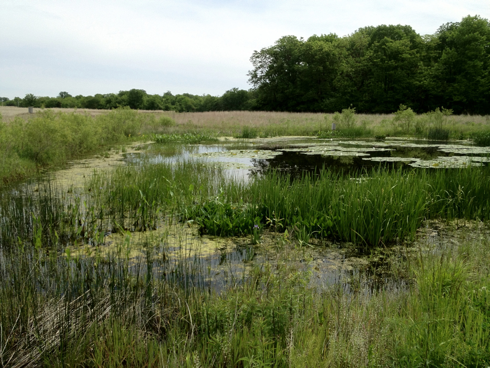 Full Size Image = 7296 K