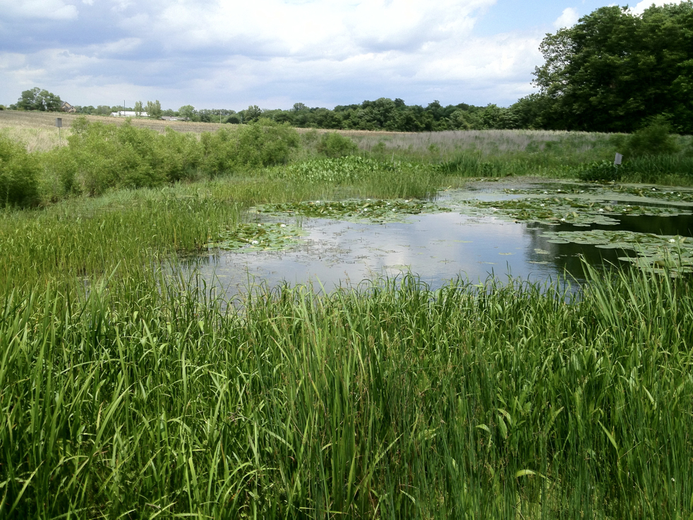 Full Size Image = 8688 K