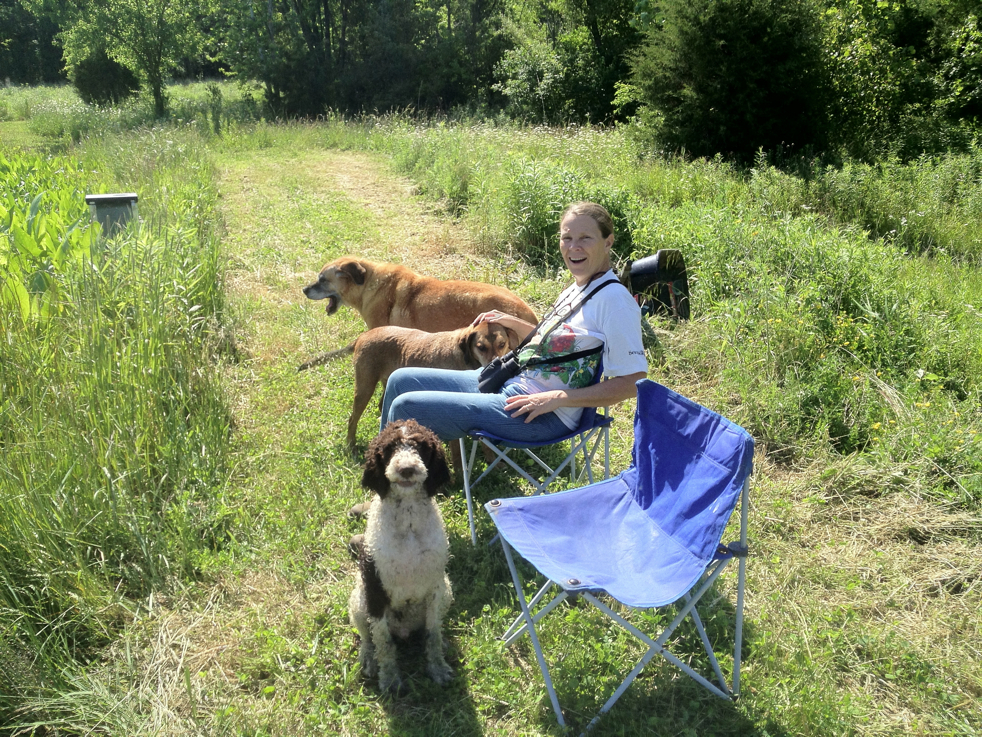 Full Size Image = 9747 K