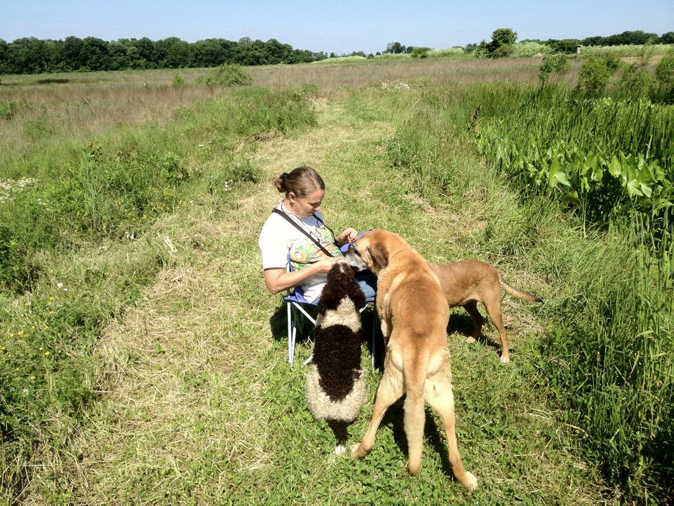 Full Size Image = 9924 K