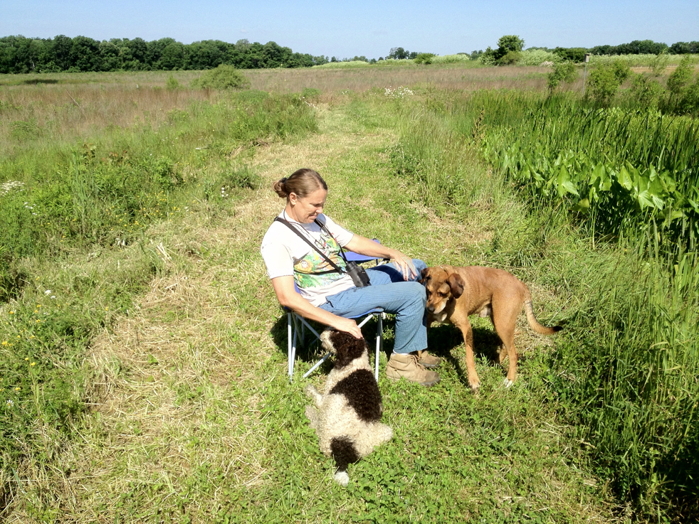 Full Size Image = 10181 K