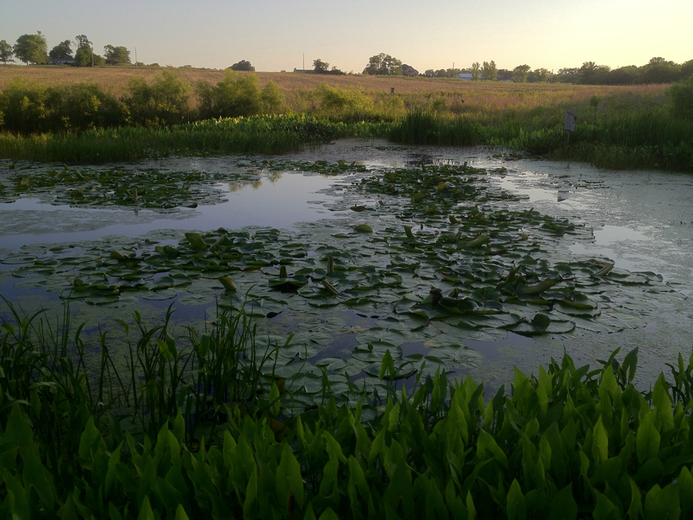 Full Size Image = 5486 K