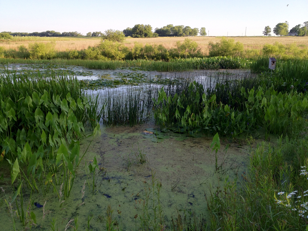 Full Size Image = 7216 K