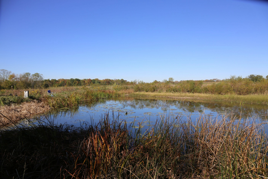 Full Size Image = 900 K