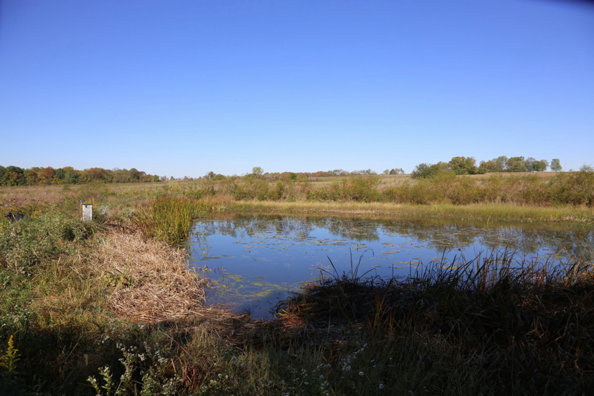 Full Size Image = 773 K