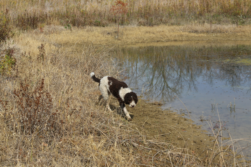 Full Size Image = 2094 K