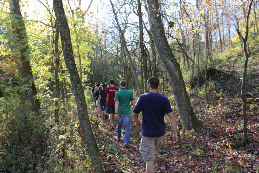 Full Size Image = 1867 K