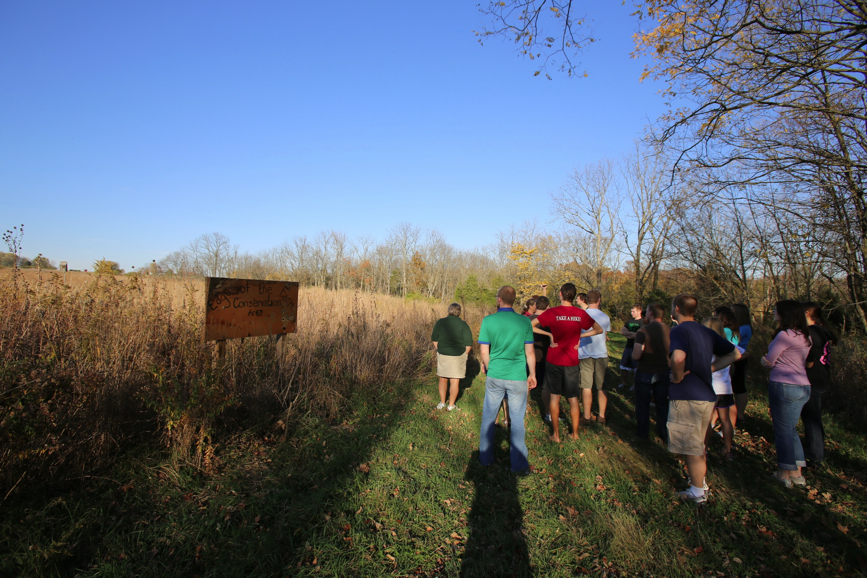 Full Size Image = 1741 K