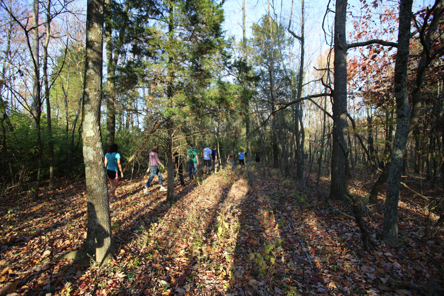 Full Size Image = 2463 K