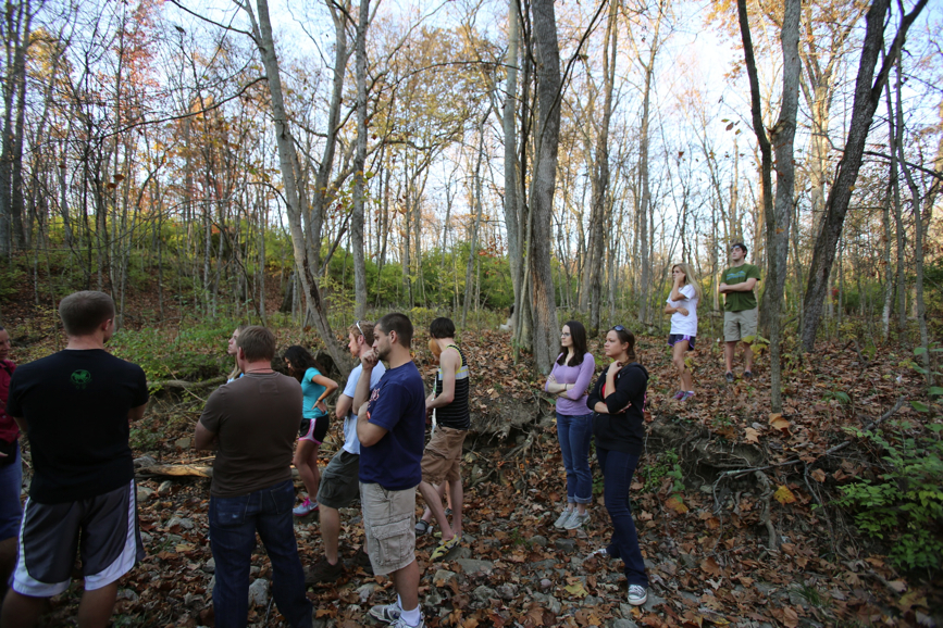 Full Size Image = 2066 K