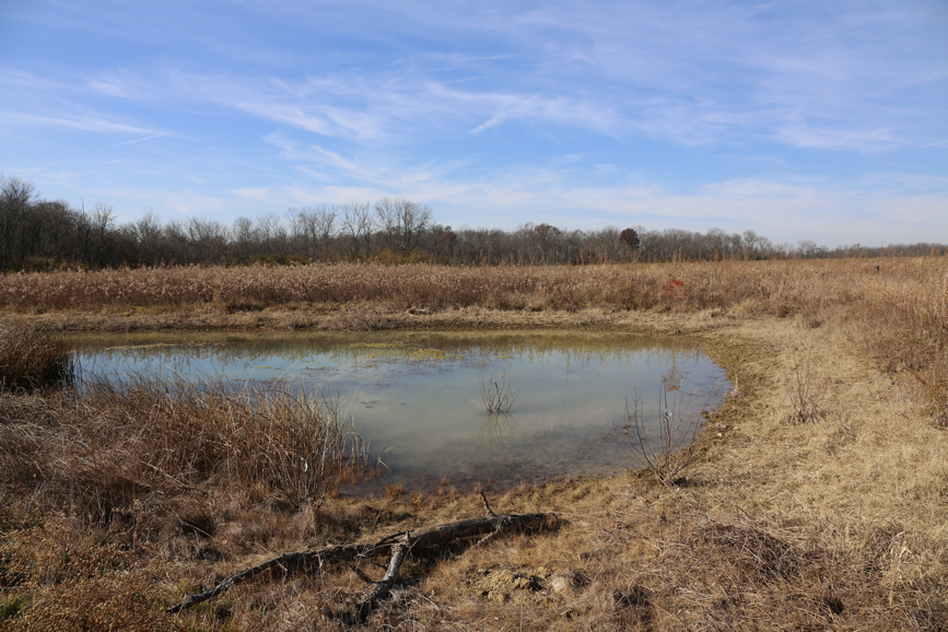 Full Size Image = 2016 K