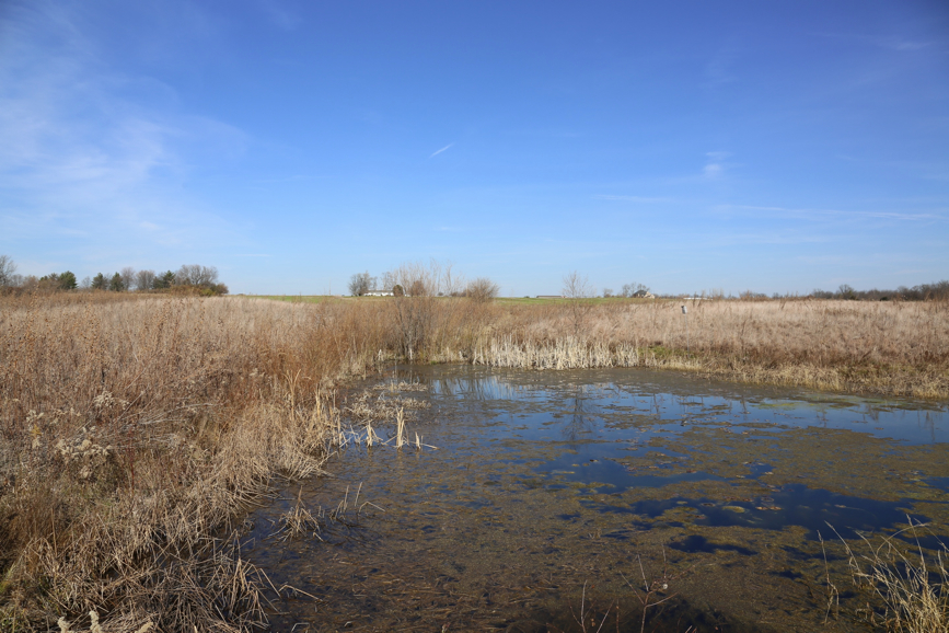 Full Size Image = 1618 K