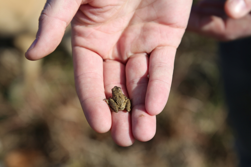 Full Size Image = 535 K