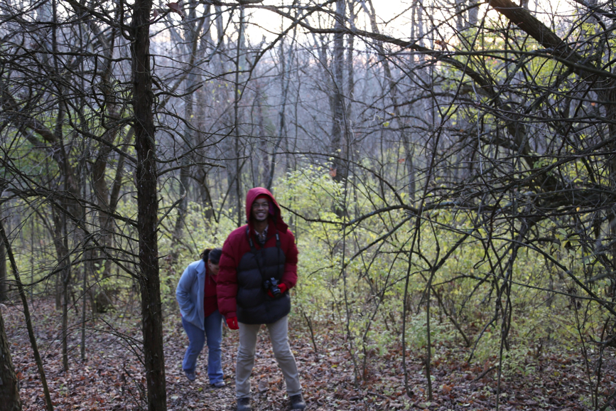 Full Size Image = 1761 K