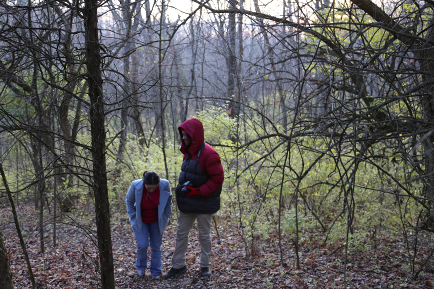 Full Size Image = 1702 K