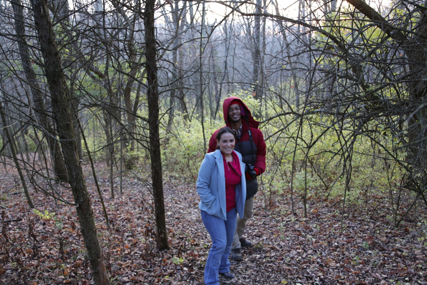 Full Size Image = 1809 K