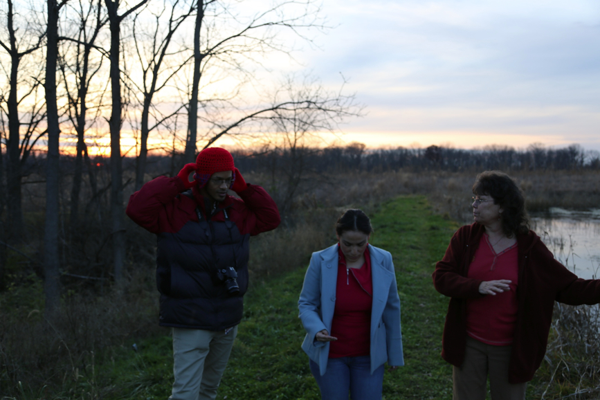 Full Size Image = 747 K