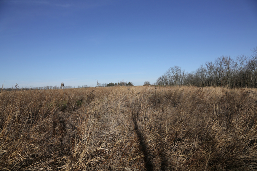 Full Size Image = 1914 K