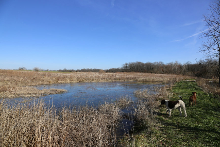 Full Size Image = 1918 K