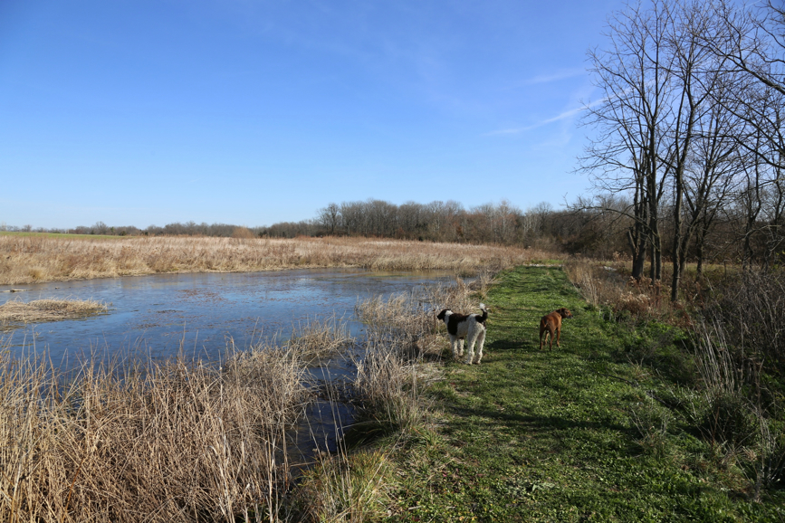 Full Size Image = 2172 K