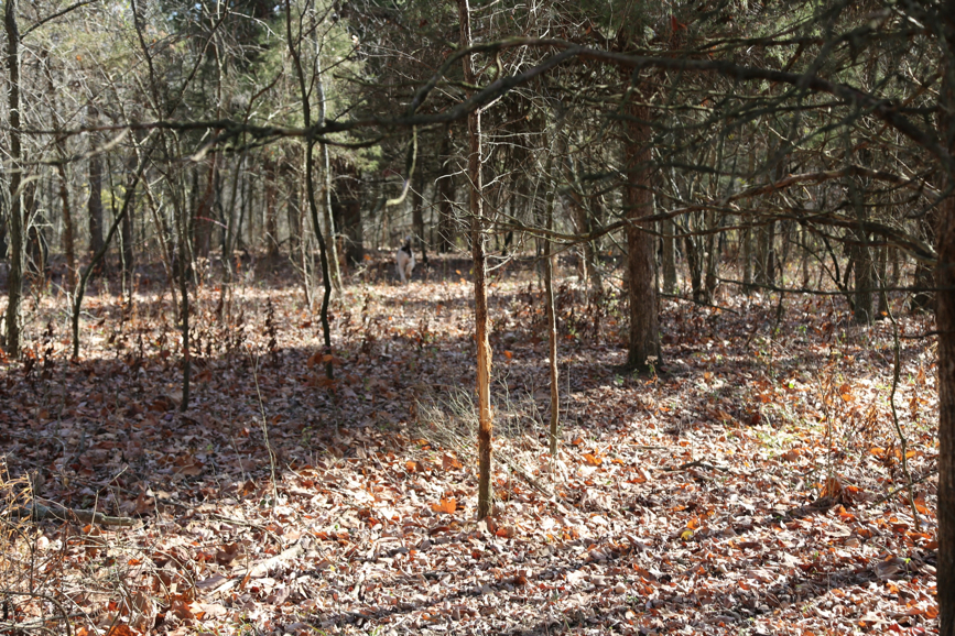 Full Size Image = 2303 K