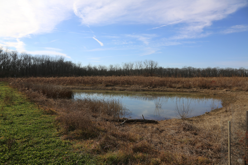 Full Size Image = 1781 K