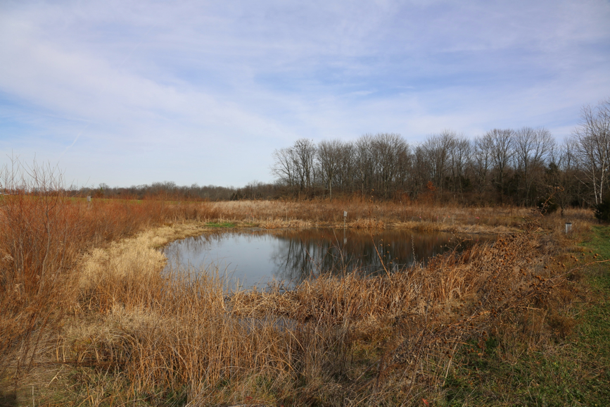 Full Size Image = 1879 K